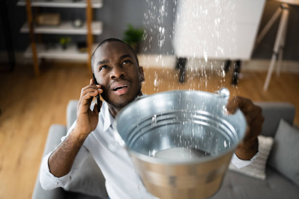 Best Water damage contractors near me  in Gordonsville, TN