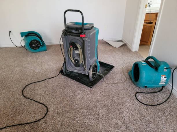 Best Basement water damage restoration  in Gordonsville, TN