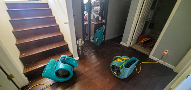 Best Sewage cleanup and water damage restoration  in Gordonsville, TN