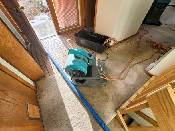 Best Flood restoration services  in Gordonsville, TN