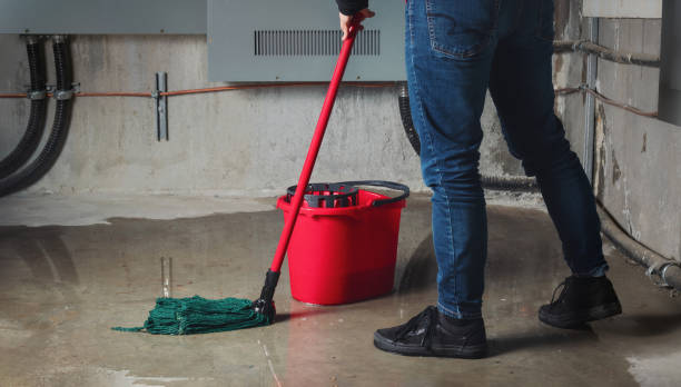 Best Mold removal after water damage  in Gordonsville, TN