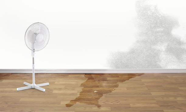 Best Residential water damage restoration  in Gordonsville, TN