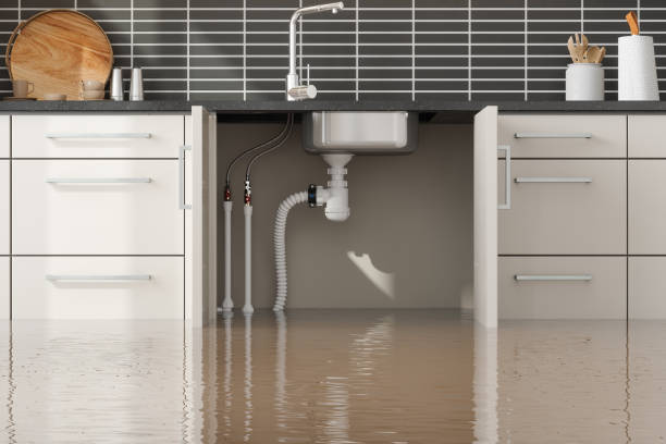 Best Commercial water damage restoration  in Gordonsville, TN